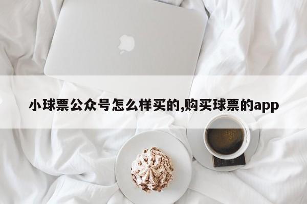 小球票公众号怎么样买的,购买球票的app