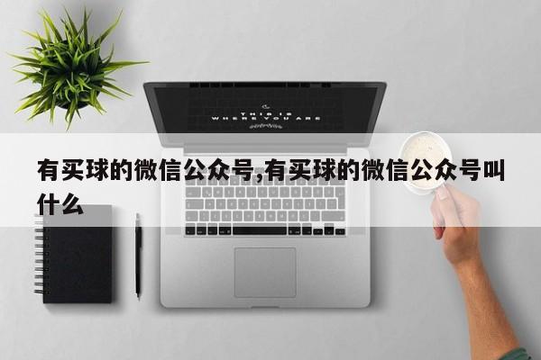 有买球的微信公众号,有买球的微信公众号叫什么
