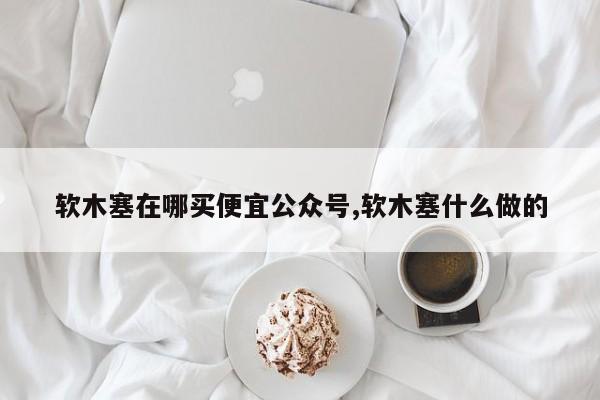 软木塞在哪买便宜公众号,软木塞什么做的
